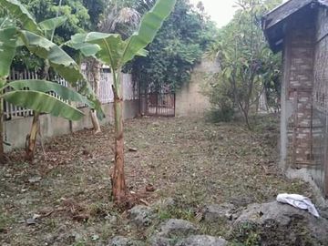 For Sale Lot in Catarman, Cordova Cebu