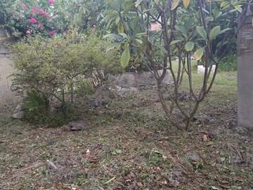 For Sale Lot in Catarman, Cordova Cebu