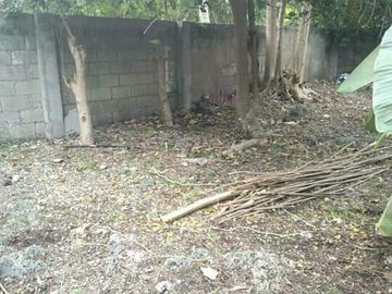 For Sale Lot in Catarman, Cordova Cebu