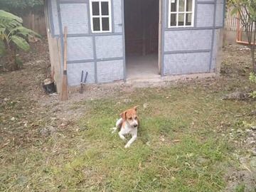 For Sale Lot in Catarman, Cordova Cebu