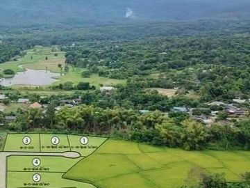 Affordable Beautiful Land for SALE surrounded by greenery view near PremI nternational School