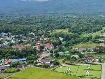 Affordable Beautiful Land for SALE surrounded by greenery view near PremI nternational School