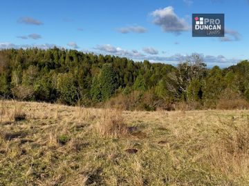 Campo en venta de 6,23 hectáras a una hora de Puerto Varas, El Mañio