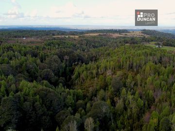 Campo en venta de 6,23 hectáras a una hora de Puerto Varas, El Mañio