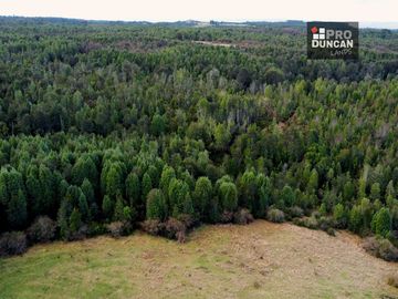 Campo en venta de 6,23 hectáras a una hora de Puerto Varas, El Mañio