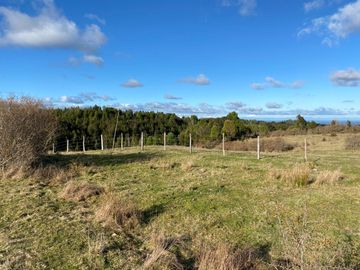 Campo en venta de 6,23 hectáras a una hora de Puerto Varas, El Mañio