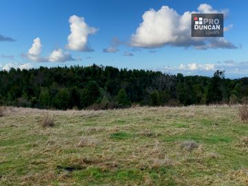 Campo en venta de 6,23 hectáras a una hora de Puerto Varas, El Mañio