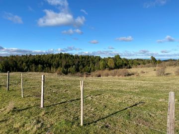 Campo en venta de 6,23 hectáras a una hora de Puerto Varas, El Mañio