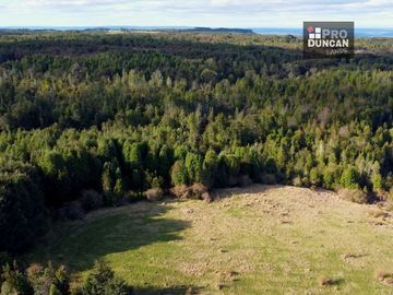 Campo en venta de 6,23 hectáras a una hora de Puerto Varas, El Mañio