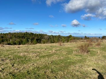Campo en venta de 6,23 hectáras a una hora de Puerto Varas, El Mañio