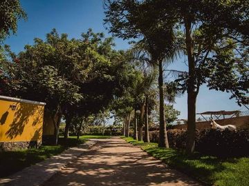 VENDO CASA DE CAMPO EN Calle Cuatro Bocas - PACHACAMAC