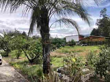 VENTA DE PROPIEDAD EN GUAYLLABAMBA, TERRENO 5000m2, CASA, GUAYLLABAMBA