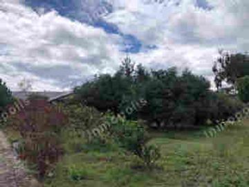 VENTA DE PROPIEDAD EN GUAYLLABAMBA, TERRENO 5000m2, CASA, GUAYLLABAMBA