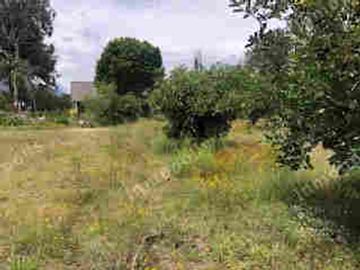 VENTA DE PROPIEDAD EN GUAYLLABAMBA, TERRENO 5000m2, CASA, GUAYLLABAMBA