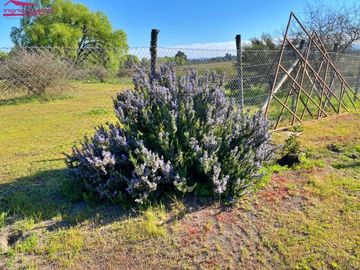 Se vende hermosa parcela con casa en la localidad de Quillon