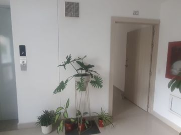 APARTAMENTO 3 HABITACIONES GRANADILLO LADO SOMBRA, APTO