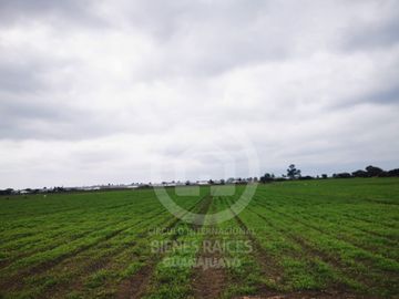 RANCHO AGRICOLA EN VENTA