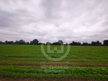 RANCHO AGRICOLA EN VENTA