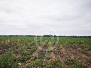 RANCHO AGRICOLA EN VENTA