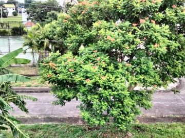 For Sale: Newly Built and Beautiful House in Grand Pasadena, Antel Grand Village, Bacao 2, Generel Trias Cavite