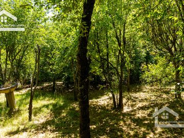 Venta de Propiedad con Casa Antigua y Amplios Jardines – Mineral del Chico, Hidalgo