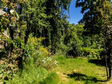 Venta de Propiedad con Casa Antigua y Amplios Jardines – Mineral del Chico, Hidalgo