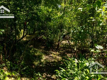 Venta de Propiedad con Casa Antigua y Amplios Jardines – Mineral del Chico, Hidalgo