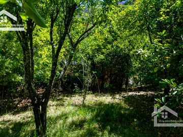 Venta de Propiedad con Casa Antigua y Amplios Jardines – Mineral del Chico, Hidalgo