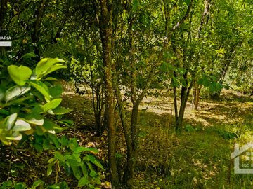 Venta de Propiedad con Casa Antigua y Amplios Jardines – Mineral del Chico, Hidalgo