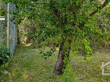 Venta de Propiedad con Casa Antigua y Amplios Jardines – Mineral del Chico, Hidalgo