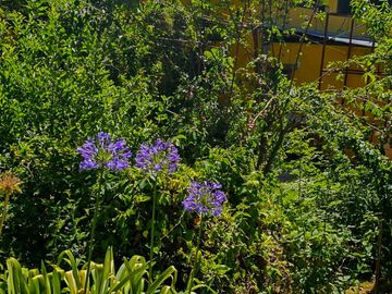 Venta de Propiedad con Casa Antigua y Amplios Jardines – Mineral del Chico, Hidalgo