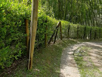 TE VENDO FINCA CON 3 CASAS EN BARBOSA ANTIOQUIA.