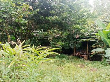 Tanah Dijual Murah di Subang Dekat Alun-Alun Subang