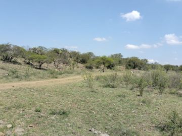 EN VENTA 11 HECTÁREAS EN LOS SABINOS EN ATOTONILCO EL GRANDE
