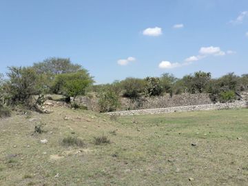 EN VENTA 11 HECTÁREAS EN LOS SABINOS EN ATOTONILCO EL GRANDE