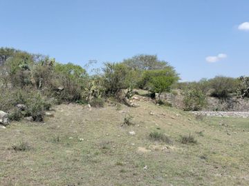 EN VENTA 11 HECTÁREAS EN LOS SABINOS EN ATOTONILCO EL GRANDE