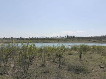 EN VENTA 11 HECTÁREAS EN LOS SABINOS EN ATOTONILCO EL GRANDE