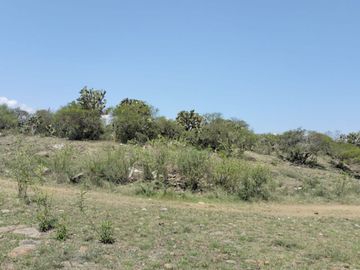 EN VENTA 11 HECTÁREAS EN LOS SABINOS EN ATOTONILCO EL GRANDE