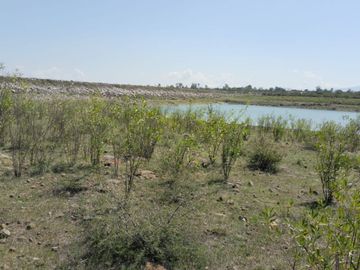 EN VENTA 11 HECTÁREAS EN LOS SABINOS EN ATOTONILCO EL GRANDE