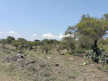 EN VENTA 11 HECTÁREAS EN LOS SABINOS EN ATOTONILCO EL GRANDE