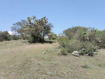 EN VENTA 11 HECTÁREAS EN LOS SABINOS EN ATOTONILCO EL GRANDE