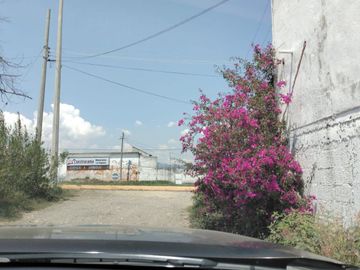 EN VENTA 11 HECTÁREAS EN LOS SABINOS EN ATOTONILCO EL GRANDE