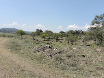 EN VENTA 11 HECTÁREAS EN LOS SABINOS EN ATOTONILCO EL GRANDE