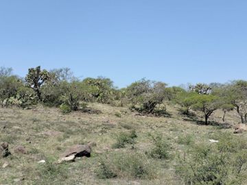 EN VENTA 11 HECTÁREAS EN LOS SABINOS EN ATOTONILCO EL GRANDE