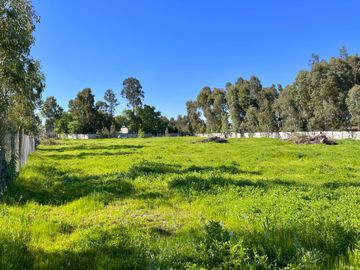Se vende sitio en exclusivo condominio Altos de Zapallar, Curicó