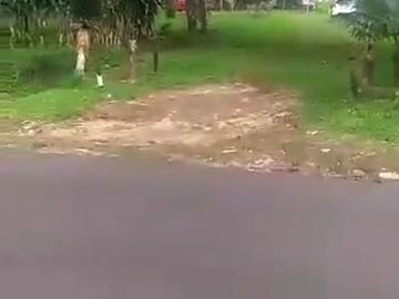 Tanah Murah Subang dkt Ciater Cocok Perumahan Resort Asri Strategis