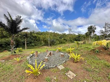 8,394 sqm Lake Shore Farm Lot for Sale in Brgy. Sisilmin, Cavinti, Laguna with overlooking view of Lumot Mahipon Lake