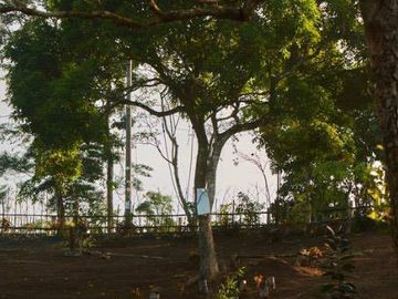 8,394 sqm Lake Shore Farm Lot for Sale in Brgy. Sisilmin, Cavinti, Laguna with overlooking view of Lumot Mahipon Lake