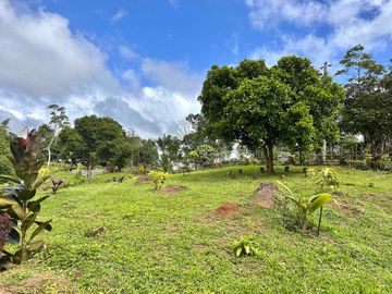 8,394 sqm Lake Shore Farm Lot for Sale in Brgy. Sisilmin, Cavinti, Laguna with overlooking view of Lumot Mahipon Lake