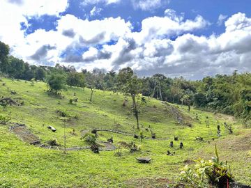 8,394 sqm Lake Shore Farm Lot for Sale in Brgy. Sisilmin, Cavinti, Laguna with overlooking view of Lumot Mahipon Lake